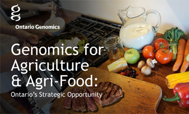 Agriculture/Agri-food Sector Strategy