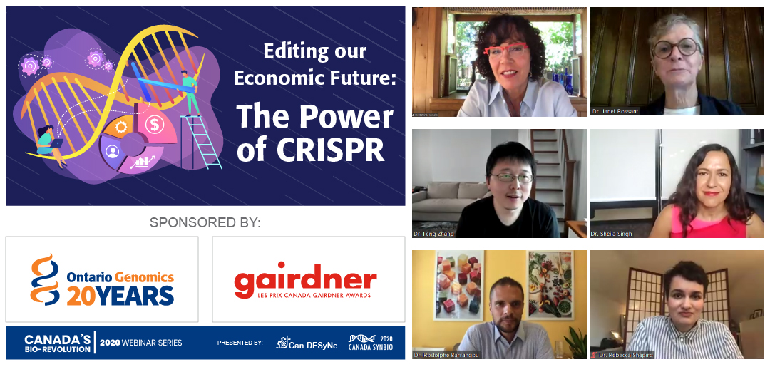 Editing our Economic Future: The Power of CRISPR