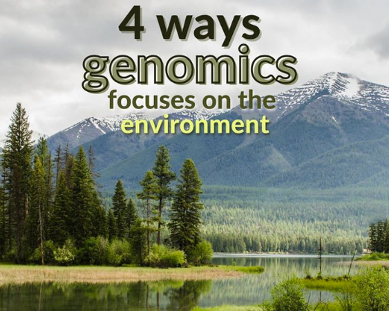 4 important projects in genomics focused on the environment