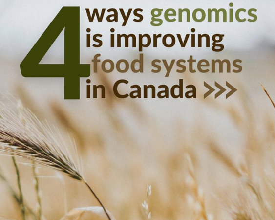 Genomics plays a huge role in agriculture and food.
