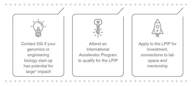 Icon of a lightbulb with text below: "Contact OGif your genomics or engineering biology start-up has potential for large impact. Key icon: Attend an international Accelerator Program to qualify for the LPIP. Rocket Icon: Apply for LPIP for investment, connections to lab space and mentorship